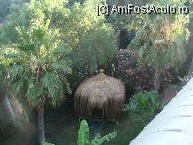 [P13] casutele pentru masaj(cu plata) » foto by titigeolgau
 - 
<span class="allrVoted glyphicon glyphicon-heart hidden" id="av94384"></span>
<a class="m-l-10 hidden" id="sv94384" onclick="voting_Foto_DelVot(,94384,2733)" role="button">șterge vot <span class="glyphicon glyphicon-remove"></span></a>
<a id="v994384" class=" c-red"  onclick="voting_Foto_SetVot(94384)" role="button"><span class="glyphicon glyphicon-heart-empty"></span> <b>LIKE</b> = Votează poza</a> <img class="hidden"  id="f94384W9" src="/imagini/loader.gif" border="0" /><span class="AjErrMes hidden" id="e94384ErM"></span>