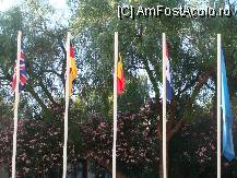 [P15] steaguri in fata receptiei din pacate romania lipsa » foto by titigeolgau
 - 
<span class="allrVoted glyphicon glyphicon-heart hidden" id="av94401"></span>
<a class="m-l-10 hidden" id="sv94401" onclick="voting_Foto_DelVot(,94401,2733)" role="button">șterge vot <span class="glyphicon glyphicon-remove"></span></a>
<a id="v994401" class=" c-red"  onclick="voting_Foto_SetVot(94401)" role="button"><span class="glyphicon glyphicon-heart-empty"></span> <b>LIKE</b> = Votează poza</a> <img class="hidden"  id="f94401W9" src="/imagini/loader.gif" border="0" /><span class="AjErrMes hidden" id="e94401ErM"></span>