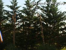 [P18] lampioane » foto by titigeolgau
 - 
<span class="allrVoted glyphicon glyphicon-heart hidden" id="av94407"></span>
<a class="m-l-10 hidden" id="sv94407" onclick="voting_Foto_DelVot(,94407,2733)" role="button">șterge vot <span class="glyphicon glyphicon-remove"></span></a>
<a id="v994407" class=" c-red"  onclick="voting_Foto_SetVot(94407)" role="button"><span class="glyphicon glyphicon-heart-empty"></span> <b>LIKE</b> = Votează poza</a> <img class="hidden"  id="f94407W9" src="/imagini/loader.gif" border="0" /><span class="AjErrMes hidden" id="e94407ErM"></span>