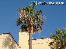 [P19]  -- <small>// FĂRĂ DESCRIERE</small> » foto by titigeolgau
 - 
<span class="allrVoted glyphicon glyphicon-heart hidden" id="av94408"></span>
<a class="m-l-10 hidden" id="sv94408" onclick="voting_Foto_DelVot(,94408,2733)" role="button">șterge vot <span class="glyphicon glyphicon-remove"></span></a>
<a id="v994408" class=" c-red"  onclick="voting_Foto_SetVot(94408)" role="button"><span class="glyphicon glyphicon-heart-empty"></span> <b>LIKE</b> = Votează poza</a> <img class="hidden"  id="f94408W9" src="/imagini/loader.gif" border="0" /><span class="AjErrMes hidden" id="e94408ErM"></span>