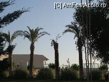 [P20]  -- <small>// FĂRĂ DESCRIERE</small> » foto by titigeolgau
 - 
<span class="allrVoted glyphicon glyphicon-heart hidden" id="av94409"></span>
<a class="m-l-10 hidden" id="sv94409" onclick="voting_Foto_DelVot(,94409,2733)" role="button">șterge vot <span class="glyphicon glyphicon-remove"></span></a>
<a id="v994409" class=" c-red"  onclick="voting_Foto_SetVot(94409)" role="button"><span class="glyphicon glyphicon-heart-empty"></span> <b>LIKE</b> = Votează poza</a> <img class="hidden"  id="f94409W9" src="/imagini/loader.gif" border="0" /><span class="AjErrMes hidden" id="e94409ErM"></span>