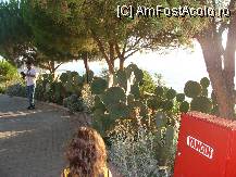 [P22]  -- <small>// FĂRĂ DESCRIERE</small> » foto by titigeolgau
 - 
<span class="allrVoted glyphicon glyphicon-heart hidden" id="av94411"></span>
<a class="m-l-10 hidden" id="sv94411" onclick="voting_Foto_DelVot(,94411,2733)" role="button">șterge vot <span class="glyphicon glyphicon-remove"></span></a>
<a id="v994411" class=" c-red"  onclick="voting_Foto_SetVot(94411)" role="button"><span class="glyphicon glyphicon-heart-empty"></span> <b>LIKE</b> = Votează poza</a> <img class="hidden"  id="f94411W9" src="/imagini/loader.gif" border="0" /><span class="AjErrMes hidden" id="e94411ErM"></span>