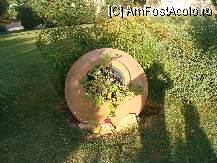 [P23]  -- <small>// FĂRĂ DESCRIERE</small> » foto by titigeolgau
 - 
<span class="allrVoted glyphicon glyphicon-heart hidden" id="av94412"></span>
<a class="m-l-10 hidden" id="sv94412" onclick="voting_Foto_DelVot(,94412,2733)" role="button">șterge vot <span class="glyphicon glyphicon-remove"></span></a>
<a id="v994412" class=" c-red"  onclick="voting_Foto_SetVot(94412)" role="button"><span class="glyphicon glyphicon-heart-empty"></span> <b>LIKE</b> = Votează poza</a> <img class="hidden"  id="f94412W9" src="/imagini/loader.gif" border="0" /><span class="AjErrMes hidden" id="e94412ErM"></span>