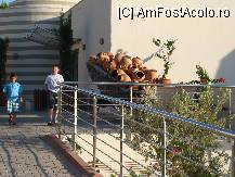 [P24] o intrare in restaurantul panorama » foto by titigeolgau
 - 
<span class="allrVoted glyphicon glyphicon-heart hidden" id="av94413"></span>
<a class="m-l-10 hidden" id="sv94413" onclick="voting_Foto_DelVot(,94413,2733)" role="button">șterge vot <span class="glyphicon glyphicon-remove"></span></a>
<a id="v994413" class=" c-red"  onclick="voting_Foto_SetVot(94413)" role="button"><span class="glyphicon glyphicon-heart-empty"></span> <b>LIKE</b> = Votează poza</a> <img class="hidden"  id="f94413W9" src="/imagini/loader.gif" border="0" /><span class="AjErrMes hidden" id="e94413ErM"></span>