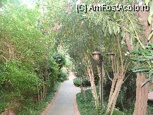 [P03] o gradina botanica » foto by titigeolgau
 - 
<span class="allrVoted glyphicon glyphicon-heart hidden" id="av94343"></span>
<a class="m-l-10 hidden" id="sv94343" onclick="voting_Foto_DelVot(,94343,2733)" role="button">șterge vot <span class="glyphicon glyphicon-remove"></span></a>
<a id="v994343" class=" c-red"  onclick="voting_Foto_SetVot(94343)" role="button"><span class="glyphicon glyphicon-heart-empty"></span> <b>LIKE</b> = Votează poza</a> <img class="hidden"  id="f94343W9" src="/imagini/loader.gif" border="0" /><span class="AjErrMes hidden" id="e94343ErM"></span>