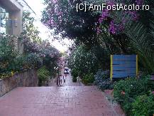 [P04]  -- <small>// FĂRĂ DESCRIERE</small> » foto by titigeolgau
 - 
<span class="allrVoted glyphicon glyphicon-heart hidden" id="av94352"></span>
<a class="m-l-10 hidden" id="sv94352" onclick="voting_Foto_DelVot(,94352,2733)" role="button">șterge vot <span class="glyphicon glyphicon-remove"></span></a>
<a id="v994352" class=" c-red"  onclick="voting_Foto_SetVot(94352)" role="button"><span class="glyphicon glyphicon-heart-empty"></span> <b>LIKE</b> = Votează poza</a> <img class="hidden"  id="f94352W9" src="/imagini/loader.gif" border="0" /><span class="AjErrMes hidden" id="e94352ErM"></span>