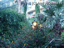 [P05]  -- <small>// FĂRĂ DESCRIERE</small> » foto by titigeolgau
 - 
<span class="allrVoted glyphicon glyphicon-heart hidden" id="av94357"></span>
<a class="m-l-10 hidden" id="sv94357" onclick="voting_Foto_DelVot(,94357,2733)" role="button">șterge vot <span class="glyphicon glyphicon-remove"></span></a>
<a id="v994357" class=" c-red"  onclick="voting_Foto_SetVot(94357)" role="button"><span class="glyphicon glyphicon-heart-empty"></span> <b>LIKE</b> = Votează poza</a> <img class="hidden"  id="f94357W9" src="/imagini/loader.gif" border="0" /><span class="AjErrMes hidden" id="e94357ErM"></span>