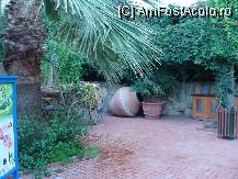 [P06]  -- <small>// FĂRĂ DESCRIERE</small> » foto by titigeolgau
 - 
<span class="allrVoted glyphicon glyphicon-heart hidden" id="av94362"></span>
<a class="m-l-10 hidden" id="sv94362" onclick="voting_Foto_DelVot(,94362,2733)" role="button">șterge vot <span class="glyphicon glyphicon-remove"></span></a>
<a id="v994362" class=" c-red"  onclick="voting_Foto_SetVot(94362)" role="button"><span class="glyphicon glyphicon-heart-empty"></span> <b>LIKE</b> = Votează poza</a> <img class="hidden"  id="f94362W9" src="/imagini/loader.gif" border="0" /><span class="AjErrMes hidden" id="e94362ErM"></span>