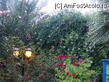 [P07]  -- <small>// FĂRĂ DESCRIERE</small> » foto by titigeolgau
 - 
<span class="allrVoted glyphicon glyphicon-heart hidden" id="av94366"></span>
<a class="m-l-10 hidden" id="sv94366" onclick="voting_Foto_DelVot(,94366,2733)" role="button">șterge vot <span class="glyphicon glyphicon-remove"></span></a>
<a id="v994366" class=" c-red"  onclick="voting_Foto_SetVot(94366)" role="button"><span class="glyphicon glyphicon-heart-empty"></span> <b>LIKE</b> = Votează poza</a> <img class="hidden"  id="f94366W9" src="/imagini/loader.gif" border="0" /><span class="AjErrMes hidden" id="e94366ErM"></span>