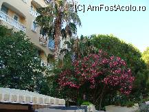 [P09] main building pe spate » foto by titigeolgau
 - 
<span class="allrVoted glyphicon glyphicon-heart hidden" id="av94370"></span>
<a class="m-l-10 hidden" id="sv94370" onclick="voting_Foto_DelVot(,94370,2733)" role="button">șterge vot <span class="glyphicon glyphicon-remove"></span></a>
<a id="v994370" class=" c-red"  onclick="voting_Foto_SetVot(94370)" role="button"><span class="glyphicon glyphicon-heart-empty"></span> <b>LIKE</b> = Votează poza</a> <img class="hidden"  id="f94370W9" src="/imagini/loader.gif" border="0" /><span class="AjErrMes hidden" id="e94370ErM"></span>