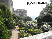 [P10] in lateral la intrarea in orasul medieval- dubrovnik » foto by vladone*
 - 
<span class="allrVoted glyphicon glyphicon-heart hidden" id="av415647"></span>
<a class="m-l-10 hidden" id="sv415647" onclick="voting_Foto_DelVot(,415647,2752)" role="button">șterge vot <span class="glyphicon glyphicon-remove"></span></a>
<a id="v9415647" class=" c-red"  onclick="voting_Foto_SetVot(415647)" role="button"><span class="glyphicon glyphicon-heart-empty"></span> <b>LIKE</b> = Votează poza</a> <img class="hidden"  id="f415647W9" src="/imagini/loader.gif" border="0" /><span class="AjErrMes hidden" id="e415647ErM"></span>