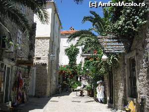 [P02] prin cetate » foto by kiwivik
 - 
<span class="allrVoted glyphicon glyphicon-heart hidden" id="av547505"></span>
<a class="m-l-10 hidden" id="sv547505" onclick="voting_Foto_DelVot(,547505,2752)" role="button">șterge vot <span class="glyphicon glyphicon-remove"></span></a>
<a id="v9547505" class=" c-red"  onclick="voting_Foto_SetVot(547505)" role="button"><span class="glyphicon glyphicon-heart-empty"></span> <b>LIKE</b> = Votează poza</a> <img class="hidden"  id="f547505W9" src="/imagini/loader.gif" border="0" /><span class="AjErrMes hidden" id="e547505ErM"></span>