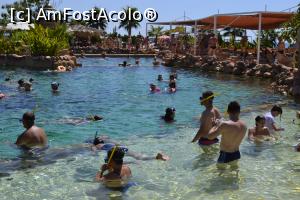 [P12] Piscina sub care era construit orasul antic » foto by Roxelly
 - 
<span class="allrVoted glyphicon glyphicon-heart hidden" id="av725026"></span>
<a class="m-l-10 hidden" id="sv725026" onclick="voting_Foto_DelVot(,725026,2760)" role="button">șterge vot <span class="glyphicon glyphicon-remove"></span></a>
<a id="v9725026" class=" c-red"  onclick="voting_Foto_SetVot(725026)" role="button"><span class="glyphicon glyphicon-heart-empty"></span> <b>LIKE</b> = Votează poza</a> <img class="hidden"  id="f725026W9" src="/imagini/loader.gif" border="0" /><span class="AjErrMes hidden" id="e725026ErM"></span>