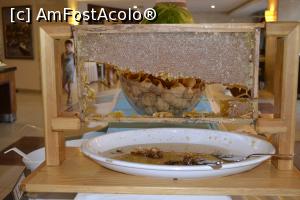[P04] Fagurele cu miere din restaurant » foto by Roxelly
 - 
<span class="allrVoted glyphicon glyphicon-heart hidden" id="av725011"></span>
<a class="m-l-10 hidden" id="sv725011" onclick="voting_Foto_DelVot(,725011,2760)" role="button">șterge vot <span class="glyphicon glyphicon-remove"></span></a>
<a id="v9725011" class=" c-red"  onclick="voting_Foto_SetVot(725011)" role="button"><span class="glyphicon glyphicon-heart-empty"></span> <b>LIKE</b> = Votează poza</a> <img class="hidden"  id="f725011W9" src="/imagini/loader.gif" border="0" /><span class="AjErrMes hidden" id="e725011ErM"></span>