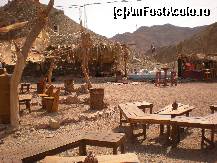 [P09] ,,O cafeterie în deşert'- al II-lea popas » foto by iris2010
 - 
<span class="allrVoted glyphicon glyphicon-heart hidden" id="av117208"></span>
<a class="m-l-10 hidden" id="sv117208" onclick="voting_Foto_DelVot(,117208,2768)" role="button">șterge vot <span class="glyphicon glyphicon-remove"></span></a>
<a id="v9117208" class=" c-red"  onclick="voting_Foto_SetVot(117208)" role="button"><span class="glyphicon glyphicon-heart-empty"></span> <b>LIKE</b> = Votează poza</a> <img class="hidden"  id="f117208W9" src="/imagini/loader.gif" border="0" /><span class="AjErrMes hidden" id="e117208ErM"></span>