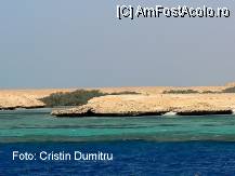 [P21] padurea de mangrove vazuta din rezervatia Ras Mohamed » foto by cristinadumitru*
 - 
<span class="allrVoted glyphicon glyphicon-heart hidden" id="av20928"></span>
<a class="m-l-10 hidden" id="sv20928" onclick="voting_Foto_DelVot(,20928,2768)" role="button">șterge vot <span class="glyphicon glyphicon-remove"></span></a>
<a id="v920928" class=" c-red"  onclick="voting_Foto_SetVot(20928)" role="button"><span class="glyphicon glyphicon-heart-empty"></span> <b>LIKE</b> = Votează poza</a> <img class="hidden"  id="f20928W9" src="/imagini/loader.gif" border="0" /><span class="AjErrMes hidden" id="e20928ErM"></span>