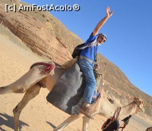 [P08] 29. Eu și cămila nervoasă » foto by gigiiuti
 - 
<span class="allrVoted glyphicon glyphicon-heart hidden" id="av1019220"></span>
<a class="m-l-10 hidden" id="sv1019220" onclick="voting_Foto_DelVot(,1019220,2768)" role="button">șterge vot <span class="glyphicon glyphicon-remove"></span></a>
<a id="v91019220" class=" c-red"  onclick="voting_Foto_SetVot(1019220)" role="button"><span class="glyphicon glyphicon-heart-empty"></span> <b>LIKE</b> = Votează poza</a> <img class="hidden"  id="f1019220W9" src="/imagini/loader.gif" border="0" /><span class="AjErrMes hidden" id="e1019220ErM"></span>