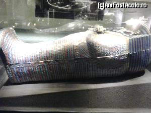 [P12] Coform scriitorului Gerald O Farrell - MORMANTUL LUI TUTANKHAMON, ADEVARATA POVESTE A BLESTEMULUI MUMIEI - sarcofagul i-ar fi apartinut lui Smenkhkare care avea trasaturi mai frumoase decat Tut, chipul de pe acest sarcofag fiind diferit de celelalte » foto by elenaadina
 - 
<span class="allrVoted glyphicon glyphicon-heart hidden" id="av682949"></span>
<a class="m-l-10 hidden" id="sv682949" onclick="voting_Foto_DelVot(,682949,2768)" role="button">șterge vot <span class="glyphicon glyphicon-remove"></span></a>
<a id="v9682949" class=" c-red"  onclick="voting_Foto_SetVot(682949)" role="button"><span class="glyphicon glyphicon-heart-empty"></span> <b>LIKE</b> = Votează poza</a> <img class="hidden"  id="f682949W9" src="/imagini/loader.gif" border="0" /><span class="AjErrMes hidden" id="e682949ErM"></span>