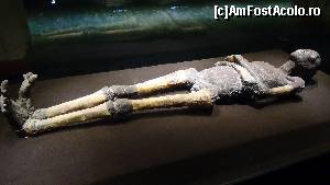 [P16] mumia regelui Tut parea a unui copil de 10 ani, se poate observa o deformare a degetelor de la picioare » foto by elenaadina
 - 
<span class="allrVoted glyphicon glyphicon-heart hidden" id="av682953"></span>
<a class="m-l-10 hidden" id="sv682953" onclick="voting_Foto_DelVot(,682953,2768)" role="button">șterge vot <span class="glyphicon glyphicon-remove"></span></a>
<a id="v9682953" class=" c-red"  onclick="voting_Foto_SetVot(682953)" role="button"><span class="glyphicon glyphicon-heart-empty"></span> <b>LIKE</b> = Votează poza</a> <img class="hidden"  id="f682953W9" src="/imagini/loader.gif" border="0" /><span class="AjErrMes hidden" id="e682953ErM"></span>