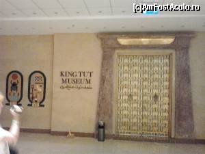 [P42]  -- <small>// FĂRĂ DESCRIERE</small> » foto by elenaadina
 - 
<span class="allrVoted glyphicon glyphicon-heart hidden" id="av682979"></span>
<a class="m-l-10 hidden" id="sv682979" onclick="voting_Foto_DelVot(,682979,2768)" role="button">șterge vot <span class="glyphicon glyphicon-remove"></span></a>
<a id="v9682979" class=" c-red"  onclick="voting_Foto_SetVot(682979)" role="button"><span class="glyphicon glyphicon-heart-empty"></span> <b>LIKE</b> = Votează poza</a> <img class="hidden"  id="f682979W9" src="/imagini/loader.gif" border="0" /><span class="AjErrMes hidden" id="e682979ErM"></span>