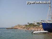 [P07] Shark bay - de aici ne-am imbarcat! » foto by raluca06
 - 
<span class="allrVoted glyphicon glyphicon-heart hidden" id="av100729"></span>
<a class="m-l-10 hidden" id="sv100729" onclick="voting_Foto_DelVot(,100729,2768)" role="button">șterge vot <span class="glyphicon glyphicon-remove"></span></a>
<a id="v9100729" class=" c-red"  onclick="voting_Foto_SetVot(100729)" role="button"><span class="glyphicon glyphicon-heart-empty"></span> <b>LIKE</b> = Votează poza</a> <img class="hidden"  id="f100729W9" src="/imagini/loader.gif" border="0" /><span class="AjErrMes hidden" id="e100729ErM"></span>