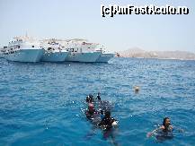 [P09] ... la scuba! » foto by raluca06
 - 
<span class="allrVoted glyphicon glyphicon-heart hidden" id="av100732"></span>
<a class="m-l-10 hidden" id="sv100732" onclick="voting_Foto_DelVot(,100732,2768)" role="button">șterge vot <span class="glyphicon glyphicon-remove"></span></a>
<a id="v9100732" class=" c-red"  onclick="voting_Foto_SetVot(100732)" role="button"><span class="glyphicon glyphicon-heart-empty"></span> <b>LIKE</b> = Votează poza</a> <img class="hidden"  id="f100732W9" src="/imagini/loader.gif" border="0" /><span class="AjErrMes hidden" id="e100732ErM"></span>