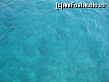 [P22]  -- <small>// FĂRĂ DESCRIERE</small> » foto by cami1212
 - 
<span class="allrVoted glyphicon glyphicon-heart hidden" id="av187224"></span>
<a class="m-l-10 hidden" id="sv187224" onclick="voting_Foto_DelVot(,187224,2768)" role="button">șterge vot <span class="glyphicon glyphicon-remove"></span></a>
<a id="v9187224" class=" c-red"  onclick="voting_Foto_SetVot(187224)" role="button"><span class="glyphicon glyphicon-heart-empty"></span> <b>LIKE</b> = Votează poza</a> <img class="hidden"  id="f187224W9" src="/imagini/loader.gif" border="0" /><span class="AjErrMes hidden" id="e187224ErM"></span>