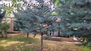 [P14] Grădina de la Club Dunărea, Eforie Nord » foto by vlado2
 - 
<span class="allrVoted glyphicon glyphicon-heart hidden" id="av1520717"></span>
<a class="m-l-10 hidden" id="sv1520717" onclick="voting_Foto_DelVot(,1520717,2785)" role="button">șterge vot <span class="glyphicon glyphicon-remove"></span></a>
<a id="v91520717" class=" c-red"  onclick="voting_Foto_SetVot(1520717)" role="button"><span class="glyphicon glyphicon-heart-empty"></span> <b>LIKE</b> = Votează poza</a> <img class="hidden"  id="f1520717W9" src="/imagini/loader.gif" border="0" /><span class="AjErrMes hidden" id="e1520717ErM"></span>