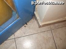 [P03] in came, usa de la balcon: gandaci (morti), paianjeni, jeg... » foto by GNP1
 - 
<span class="allrVoted glyphicon glyphicon-heart hidden" id="av233681"></span>
<a class="m-l-10 hidden" id="sv233681" onclick="voting_Foto_DelVot(,233681,2808)" role="button">șterge vot <span class="glyphicon glyphicon-remove"></span></a>
<a id="v9233681" class=" c-red"  onclick="voting_Foto_SetVot(233681)" role="button"><span class="glyphicon glyphicon-heart-empty"></span> <b>LIKE</b> = Votează poza</a> <img class="hidden"  id="f233681W9" src="/imagini/loader.gif" border="0" /><span class="AjErrMes hidden" id="e233681ErM"></span>
