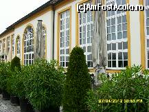 [P09] prin gradinile abatiei Melk. » foto by adryana
 - 
<span class="allrVoted glyphicon glyphicon-heart hidden" id="av313267"></span>
<a class="m-l-10 hidden" id="sv313267" onclick="voting_Foto_DelVot(,313267,2854)" role="button">șterge vot <span class="glyphicon glyphicon-remove"></span></a>
<a id="v9313267" class=" c-red"  onclick="voting_Foto_SetVot(313267)" role="button"><span class="glyphicon glyphicon-heart-empty"></span> <b>LIKE</b> = Votează poza</a> <img class="hidden"  id="f313267W9" src="/imagini/loader.gif" border="0" /><span class="AjErrMes hidden" id="e313267ErM"></span>