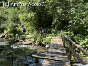 [P06] Pe Valea Viștei, traversând unul dintre podețele din lemn » foto by Mika
 - 
<span class="allrVoted glyphicon glyphicon-heart hidden" id="av1448755"></span>
<a class="m-l-10 hidden" id="sv1448755" onclick="voting_Foto_DelVot(,1448755,2855)" role="button">șterge vot <span class="glyphicon glyphicon-remove"></span></a>
<a id="v91448755" class=" c-red"  onclick="voting_Foto_SetVot(1448755)" role="button"><span class="glyphicon glyphicon-heart-empty"></span> <b>LIKE</b> = Votează poza</a> <img class="hidden"  id="f1448755W9" src="/imagini/loader.gif" border="0" /><span class="AjErrMes hidden" id="e1448755ErM"></span>