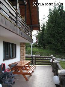 [P02]  -- <small>// FĂRĂ DESCRIERE</small> » foto by aris_crina
 - 
<span class="allrVoted glyphicon glyphicon-heart hidden" id="av13639"></span>
<a class="m-l-10 hidden" id="sv13639" onclick="voting_Foto_DelVot(,13639,2865)" role="button">șterge vot <span class="glyphicon glyphicon-remove"></span></a>
<a id="v913639" class=" c-red"  onclick="voting_Foto_SetVot(13639)" role="button"><span class="glyphicon glyphicon-heart-empty"></span> <b>LIKE</b> = Votează poza</a> <img class="hidden"  id="f13639W9" src="/imagini/loader.gif" border="0" /><span class="AjErrMes hidden" id="e13639ErM"></span>