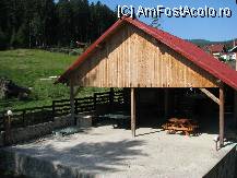 [P09]  -- <small>// FĂRĂ DESCRIERE</small> » foto by aris_crina
 - 
<span class="allrVoted glyphicon glyphicon-heart hidden" id="av14798"></span>
<a class="m-l-10 hidden" id="sv14798" onclick="voting_Foto_DelVot(,14798,2865)" role="button">șterge vot <span class="glyphicon glyphicon-remove"></span></a>
<a id="v914798" class=" c-red"  onclick="voting_Foto_SetVot(14798)" role="button"><span class="glyphicon glyphicon-heart-empty"></span> <b>LIKE</b> = Votează poza</a> <img class="hidden"  id="f14798W9" src="/imagini/loader.gif" border="0" /><span class="AjErrMes hidden" id="e14798ErM"></span>