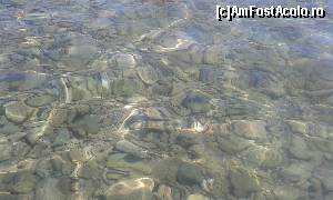 [P49] Apa mari in dreptul hotelului nostru » foto by pnnicoleta
 - 
<span class="allrVoted glyphicon glyphicon-heart hidden" id="av531880"></span>
<a class="m-l-10 hidden" id="sv531880" onclick="voting_Foto_DelVot(,531880,2905)" role="button">șterge vot <span class="glyphicon glyphicon-remove"></span></a>
<a id="v9531880" class=" c-red"  onclick="voting_Foto_SetVot(531880)" role="button"><span class="glyphicon glyphicon-heart-empty"></span> <b>LIKE</b> = Votează poza</a> <img class="hidden"  id="f531880W9" src="/imagini/loader.gif" border="0" /><span class="AjErrMes hidden" id="e531880ErM"></span>