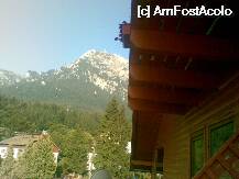 [P01] caraimanul! :) » foto by tilinka
 - 
<span class="allrVoted glyphicon glyphicon-heart hidden" id="av25611"></span>
<a class="m-l-10 hidden" id="sv25611" onclick="voting_Foto_DelVot(,25611,2922)" role="button">șterge vot <span class="glyphicon glyphicon-remove"></span></a>
<a id="v925611" class=" c-red"  onclick="voting_Foto_SetVot(25611)" role="button"><span class="glyphicon glyphicon-heart-empty"></span> <b>LIKE</b> = Votează poza</a> <img class="hidden"  id="f25611W9" src="/imagini/loader.gif" border="0" /><span class="AjErrMes hidden" id="e25611ErM"></span>