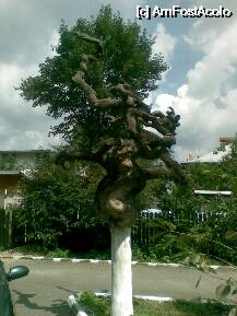 [P12] arta abstracta a naturii! :) » foto by tilinka
 - 
<span class="allrVoted glyphicon glyphicon-heart hidden" id="av25625"></span>
<a class="m-l-10 hidden" id="sv25625" onclick="voting_Foto_DelVot(,25625,2922)" role="button">șterge vot <span class="glyphicon glyphicon-remove"></span></a>
<a id="v925625" class=" c-red"  onclick="voting_Foto_SetVot(25625)" role="button"><span class="glyphicon glyphicon-heart-empty"></span> <b>LIKE</b> = Votează poza</a> <img class="hidden"  id="f25625W9" src="/imagini/loader.gif" border="0" /><span class="AjErrMes hidden" id="e25625ErM"></span>