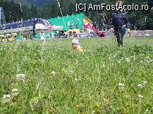 [P03] Splendoare in iarba la Kalinderu » foto by gianni_dude
 - 
<span class="allrVoted glyphicon glyphicon-heart hidden" id="av95279"></span>
<a class="m-l-10 hidden" id="sv95279" onclick="voting_Foto_DelVot(,95279,2922)" role="button">șterge vot <span class="glyphicon glyphicon-remove"></span></a>
<a id="v995279" class=" c-red"  onclick="voting_Foto_SetVot(95279)" role="button"><span class="glyphicon glyphicon-heart-empty"></span> <b>LIKE</b> = Votează poza</a> <img class="hidden"  id="f95279W9" src="/imagini/loader.gif" border="0" /><span class="AjErrMes hidden" id="e95279ErM"></span>