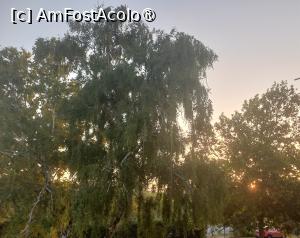 [P10] Soare blând văzut de pe balcon » foto by mnn
 - 
<span class="allrVoted glyphicon glyphicon-heart hidden" id="av1497364"></span>
<a class="m-l-10 hidden" id="sv1497364" onclick="voting_Foto_DelVot(,1497364,2925)" role="button">șterge vot <span class="glyphicon glyphicon-remove"></span></a>
<a id="v91497364" class=" c-red"  onclick="voting_Foto_SetVot(1497364)" role="button"><span class="glyphicon glyphicon-heart-empty"></span> <b>LIKE</b> = Votează poza</a> <img class="hidden"  id="f1497364W9" src="/imagini/loader.gif" border="0" /><span class="AjErrMes hidden" id="e1497364ErM"></span>