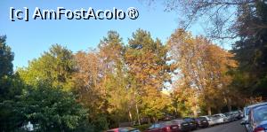[P11] Culori de toamnă în zona mea preferată din Venus » foto by mnn
 - 
<span class="allrVoted glyphicon glyphicon-heart hidden" id="av1497365"></span>
<a class="m-l-10 hidden" id="sv1497365" onclick="voting_Foto_DelVot(,1497365,2925)" role="button">șterge vot <span class="glyphicon glyphicon-remove"></span></a>
<a id="v91497365" class=" c-red"  onclick="voting_Foto_SetVot(1497365)" role="button"><span class="glyphicon glyphicon-heart-empty"></span> <b>LIKE</b> = Votează poza</a> <img class="hidden"  id="f1497365W9" src="/imagini/loader.gif" border="0" /><span class="AjErrMes hidden" id="e1497365ErM"></span>