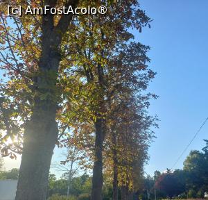 [P14] Frumoșii castani în culori de toamnă în fața hotelului Corina » foto by mnn
 - 
<span class="allrVoted glyphicon glyphicon-heart hidden" id="av1497368"></span>
<a class="m-l-10 hidden" id="sv1497368" onclick="voting_Foto_DelVot(,1497368,2925)" role="button">șterge vot <span class="glyphicon glyphicon-remove"></span></a>
<a id="v91497368" class=" c-red"  onclick="voting_Foto_SetVot(1497368)" role="button"><span class="glyphicon glyphicon-heart-empty"></span> <b>LIKE</b> = Votează poza</a> <img class="hidden"  id="f1497368W9" src="/imagini/loader.gif" border="0" /><span class="AjErrMes hidden" id="e1497368ErM"></span>