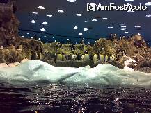 [P01]  -- <small>// FĂRĂ DESCRIERE</small> » foto by ghecamelia
 - 
<span class="allrVoted glyphicon glyphicon-heart hidden" id="av22471"></span>
<a class="m-l-10 hidden" id="sv22471" onclick="voting_Foto_DelVot(,22471,2939)" role="button">șterge vot <span class="glyphicon glyphicon-remove"></span></a>
<a id="v922471" class=" c-red"  onclick="voting_Foto_SetVot(22471)" role="button"><span class="glyphicon glyphicon-heart-empty"></span> <b>LIKE</b> = Votează poza</a> <img class="hidden"  id="f22471W9" src="/imagini/loader.gif" border="0" /><span class="AjErrMes hidden" id="e22471ErM"></span>