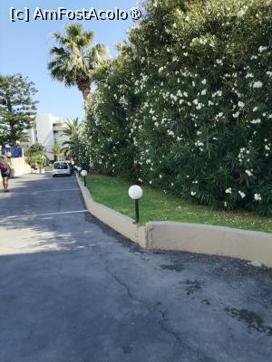 [P02] Drum spre plajă, făceam maxim 10 min pe jos, plaja e vis-a-vis de hotel » foto by anamaria_2010
 - 
<span class="allrVoted glyphicon glyphicon-heart hidden" id="av1497611"></span>
<a class="m-l-10 hidden" id="sv1497611" onclick="voting_Foto_DelVot(,1497611,2946)" role="button">șterge vot <span class="glyphicon glyphicon-remove"></span></a>
<a id="v91497611" class=" c-red"  onclick="voting_Foto_SetVot(1497611)" role="button"><span class="glyphicon glyphicon-heart-empty"></span> <b>LIKE</b> = Votează poza</a> <img class="hidden"  id="f1497611W9" src="/imagini/loader.gif" border="0" /><span class="AjErrMes hidden" id="e1497611ErM"></span>