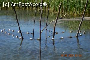 [P24] Plase de pescuit » foto by KSV
 - 
<span class="allrVoted glyphicon glyphicon-heart hidden" id="av1176475"></span>
<a class="m-l-10 hidden" id="sv1176475" onclick="voting_Foto_DelVot(,1176475,2956)" role="button">șterge vot <span class="glyphicon glyphicon-remove"></span></a>
<a id="v91176475" class=" c-red"  onclick="voting_Foto_SetVot(1176475)" role="button"><span class="glyphicon glyphicon-heart-empty"></span> <b>LIKE</b> = Votează poza</a> <img class="hidden"  id="f1176475W9" src="/imagini/loader.gif" border="0" /><span class="AjErrMes hidden" id="e1176475ErM"></span>