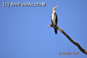 [P27] De strajă patriei » foto by KSV
 - 
<span class="allrVoted glyphicon glyphicon-heart hidden" id="av1176478"></span>
<a class="m-l-10 hidden" id="sv1176478" onclick="voting_Foto_DelVot(,1176478,2956)" role="button">șterge vot <span class="glyphicon glyphicon-remove"></span></a>
<a id="v91176478" class=" c-red"  onclick="voting_Foto_SetVot(1176478)" role="button"><span class="glyphicon glyphicon-heart-empty"></span> <b>LIKE</b> = Votează poza</a> <img class="hidden"  id="f1176478W9" src="/imagini/loader.gif" border="0" /><span class="AjErrMes hidden" id="e1176478ErM"></span>