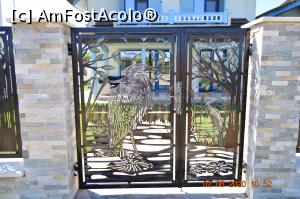 [P36] Un gard deosebit » foto by KSV
 - 
<span class="allrVoted glyphicon glyphicon-heart hidden" id="av1176487"></span>
<a class="m-l-10 hidden" id="sv1176487" onclick="voting_Foto_DelVot(,1176487,2956)" role="button">șterge vot <span class="glyphicon glyphicon-remove"></span></a>
<a id="v91176487" class=" c-red"  onclick="voting_Foto_SetVot(1176487)" role="button"><span class="glyphicon glyphicon-heart-empty"></span> <b>LIKE</b> = Votează poza</a> <img class="hidden"  id="f1176487W9" src="/imagini/loader.gif" border="0" /><span class="AjErrMes hidden" id="e1176487ErM"></span>