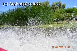 [P47] Iar &rdquo; pe drum &rdquo; ! » foto by KSV
 - 
<span class="allrVoted glyphicon glyphicon-heart hidden" id="av1176498"></span>
<a class="m-l-10 hidden" id="sv1176498" onclick="voting_Foto_DelVot(,1176498,2956)" role="button">șterge vot <span class="glyphicon glyphicon-remove"></span></a>
<a id="v91176498" class=" c-red"  onclick="voting_Foto_SetVot(1176498)" role="button"><span class="glyphicon glyphicon-heart-empty"></span> <b>LIKE</b> = Votează poza</a> <img class="hidden"  id="f1176498W9" src="/imagini/loader.gif" border="0" /><span class="AjErrMes hidden" id="e1176498ErM"></span>