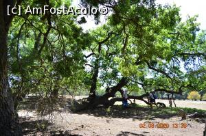 [P16] L&icirc;ngă adăpătoarea cailor » foto by KSV
 - 
<span class="allrVoted glyphicon glyphicon-heart hidden" id="av1176570"></span>
<a class="m-l-10 hidden" id="sv1176570" onclick="voting_Foto_DelVot(,1176570,2956)" role="button">șterge vot <span class="glyphicon glyphicon-remove"></span></a>
<a id="v91176570" class=" c-red"  onclick="voting_Foto_SetVot(1176570)" role="button"><span class="glyphicon glyphicon-heart-empty"></span> <b>LIKE</b> = Votează poza</a> <img class="hidden"  id="f1176570W9" src="/imagini/loader.gif" border="0" /><span class="AjErrMes hidden" id="e1176570ErM"></span>