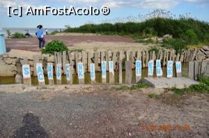 [P22] Sarichioi &rdquo; Beach &rdquo; » foto by KSV
 - 
<span class="allrVoted glyphicon glyphicon-heart hidden" id="av1165332"></span>
<a class="m-l-10 hidden" id="sv1165332" onclick="voting_Foto_DelVot(,1165332,2956)" role="button">șterge vot <span class="glyphicon glyphicon-remove"></span></a>
<a id="v91165332" class=" c-red"  onclick="voting_Foto_SetVot(1165332)" role="button"><span class="glyphicon glyphicon-heart-empty"></span> <b>LIKE</b> = Votează poza</a> <img class="hidden"  id="f1165332W9" src="/imagini/loader.gif" border="0" /><span class="AjErrMes hidden" id="e1165332ErM"></span>