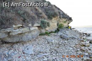 [P27] Cap Doloșman » foto by KSV
 - 
<span class="allrVoted glyphicon glyphicon-heart hidden" id="av1165337"></span>
<a class="m-l-10 hidden" id="sv1165337" onclick="voting_Foto_DelVot(,1165337,2956)" role="button">șterge vot <span class="glyphicon glyphicon-remove"></span></a>
<a id="v91165337" class=" c-red"  onclick="voting_Foto_SetVot(1165337)" role="button"><span class="glyphicon glyphicon-heart-empty"></span> <b>LIKE</b> = Votează poza</a> <img class="hidden"  id="f1165337W9" src="/imagini/loader.gif" border="0" /><span class="AjErrMes hidden" id="e1165337ErM"></span>