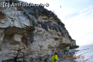 [P29] Doloșman - Jurilovca » foto by KSV
 - 
<span class="allrVoted glyphicon glyphicon-heart hidden" id="av1165339"></span>
<a class="m-l-10 hidden" id="sv1165339" onclick="voting_Foto_DelVot(,1165339,2956)" role="button">șterge vot <span class="glyphicon glyphicon-remove"></span></a>
<a id="v91165339" class=" c-red"  onclick="voting_Foto_SetVot(1165339)" role="button"><span class="glyphicon glyphicon-heart-empty"></span> <b>LIKE</b> = Votează poza</a> <img class="hidden"  id="f1165339W9" src="/imagini/loader.gif" border="0" /><span class="AjErrMes hidden" id="e1165339ErM"></span>